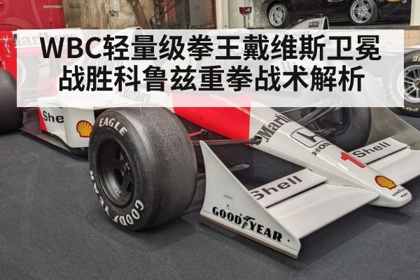 WBC轻量级拳王戴维斯卫冕战胜科鲁兹重拳战术解析