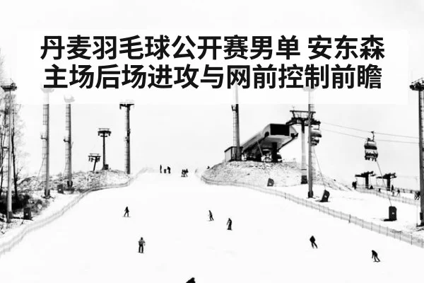 丹麦羽毛球公开赛男单 安东森主场后场进攻与网前控制前瞻